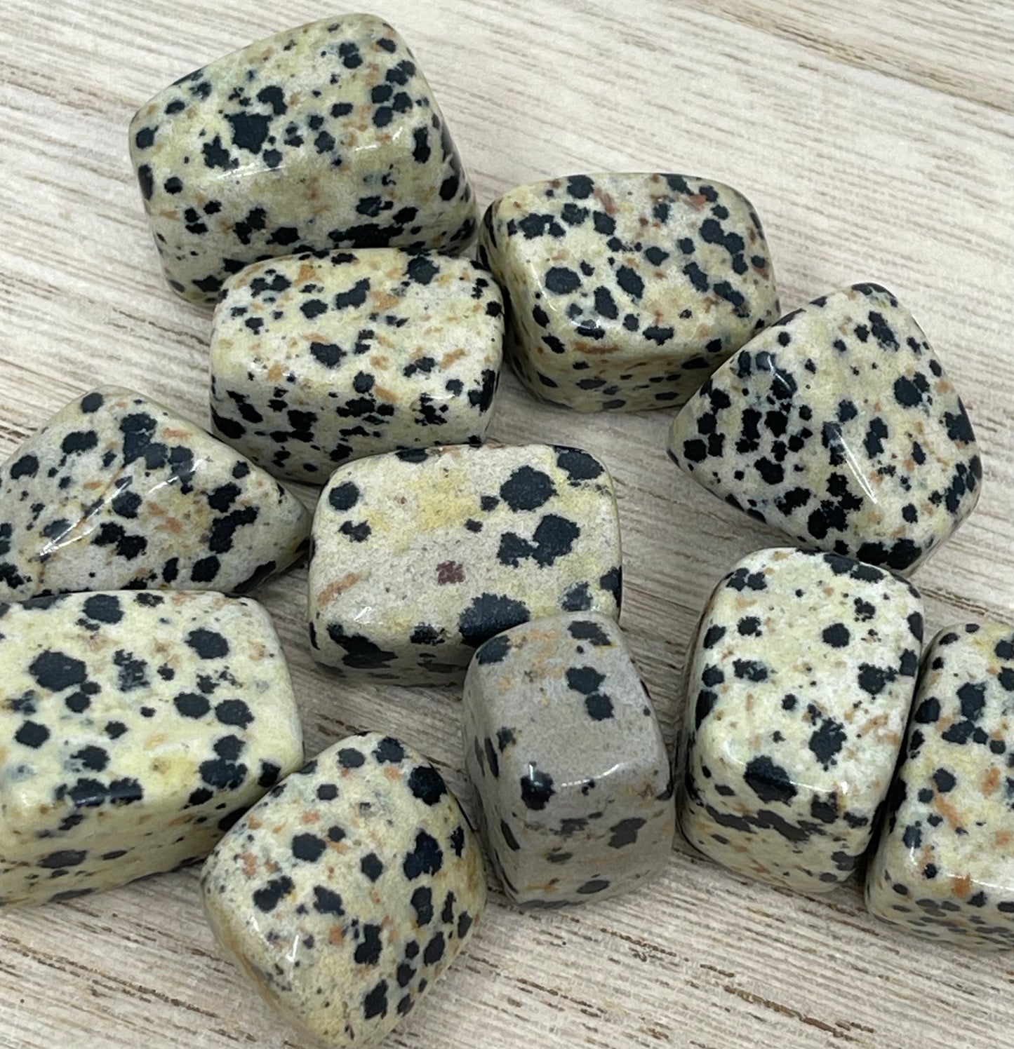 Dalmation Jasper Tumble