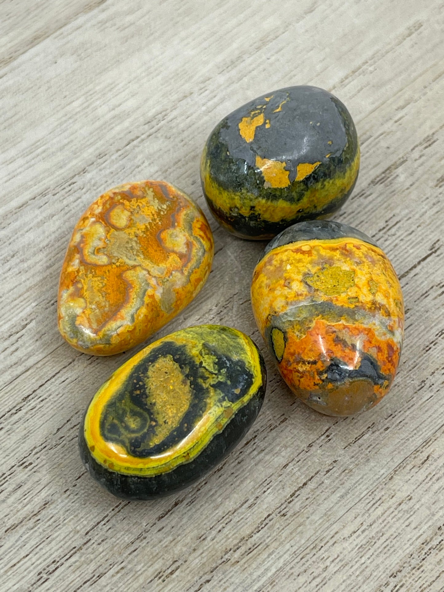 Bumble Bee Jasper Tumble